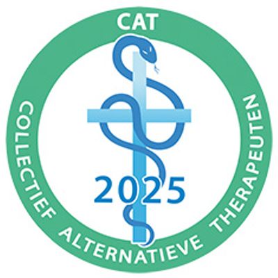 CAT-aansluiting
